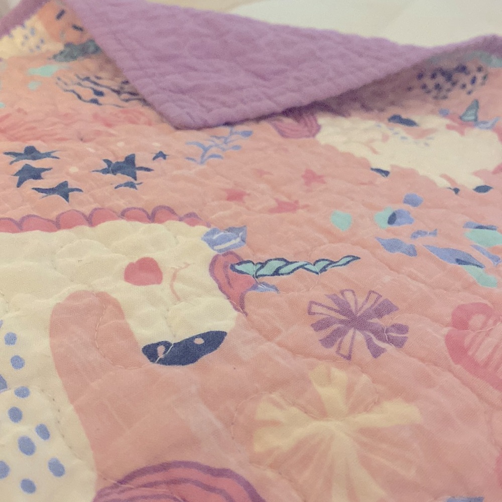 Girls Twin Bedding Set (quilt, sham, PB blanket, fitted & ruffled top sheet)